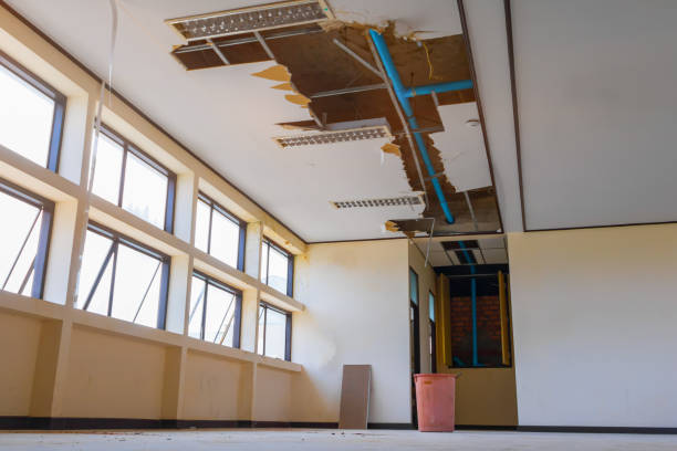 Best Professional water damage repair  in Berne, IN