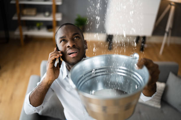 Best Water damage restoration mold remediation  in Berne, IN