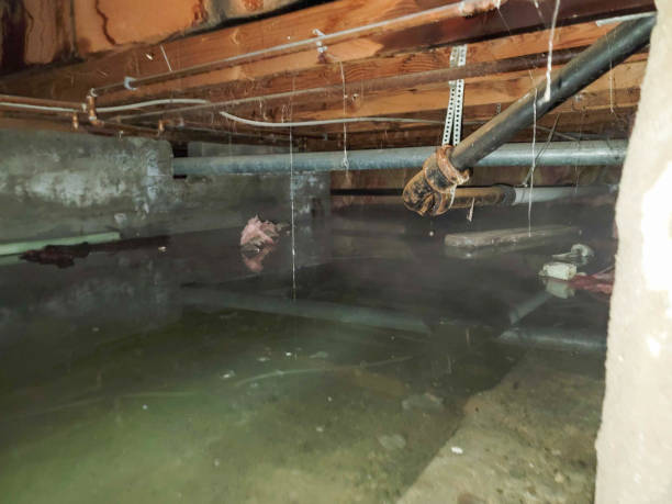 Best Residential water damage restoration  in Berne, IN