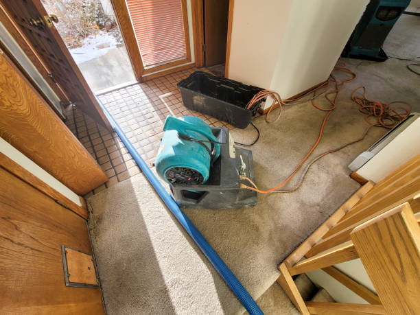 Sewage cleanup and water damage restoration in Berne, IN