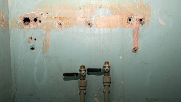 Best Carpet water damage restoration  in Berne, IN