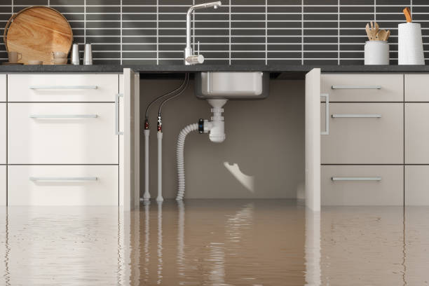 Water damage restoration mold remediation in Berne, IN