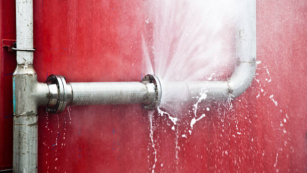 Best Emergency water extraction  in Berne, IN