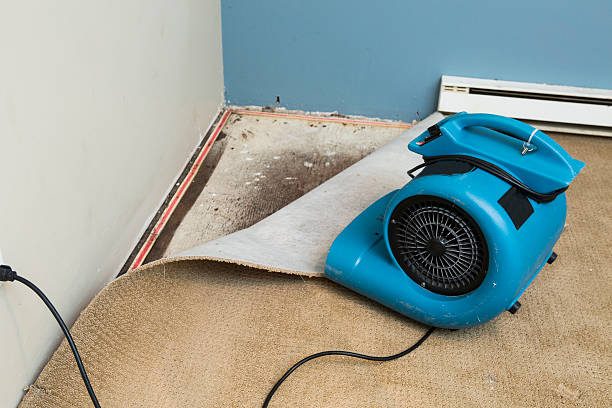 Best Local water damage restoration  in Berne, IN